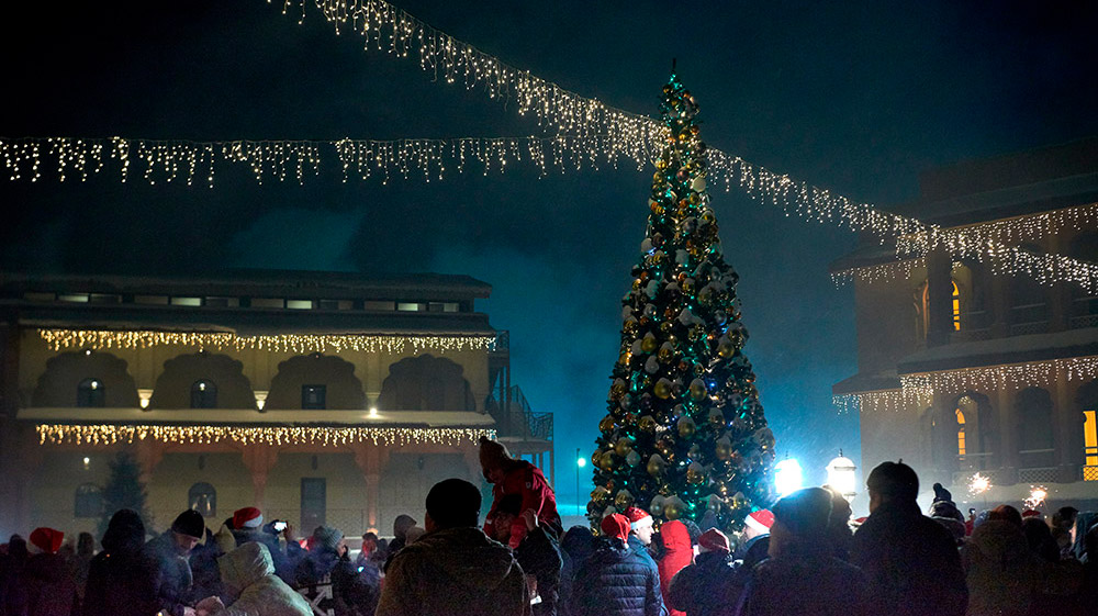 Новый год в ЭТНОМИРе