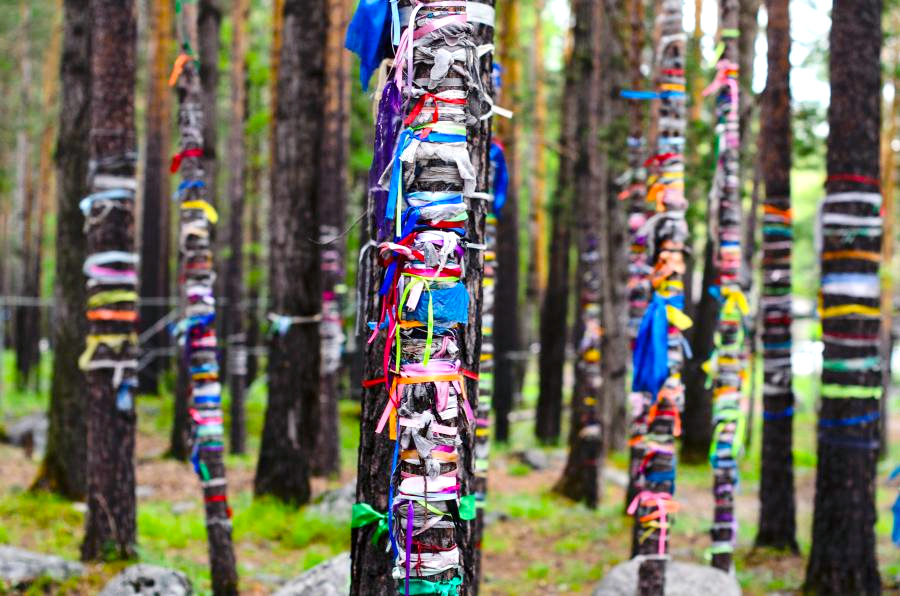 Священная роща марийцев – кусото