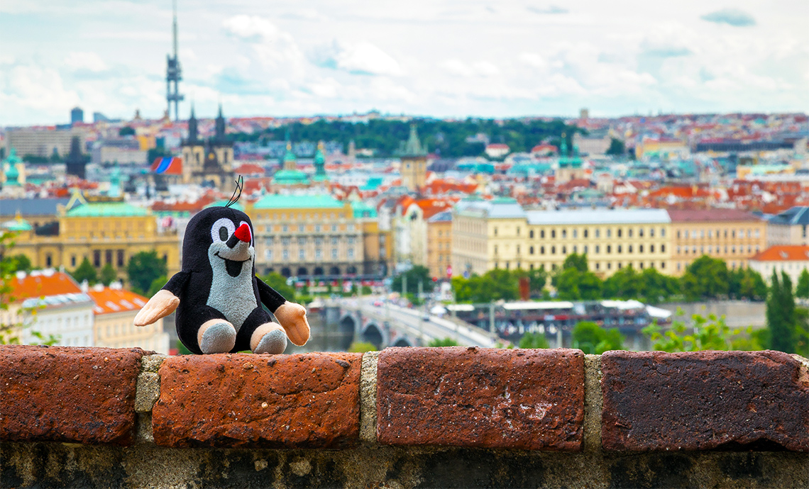 Чешский Кротик