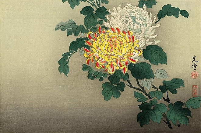 День хризантемы День хризантемы