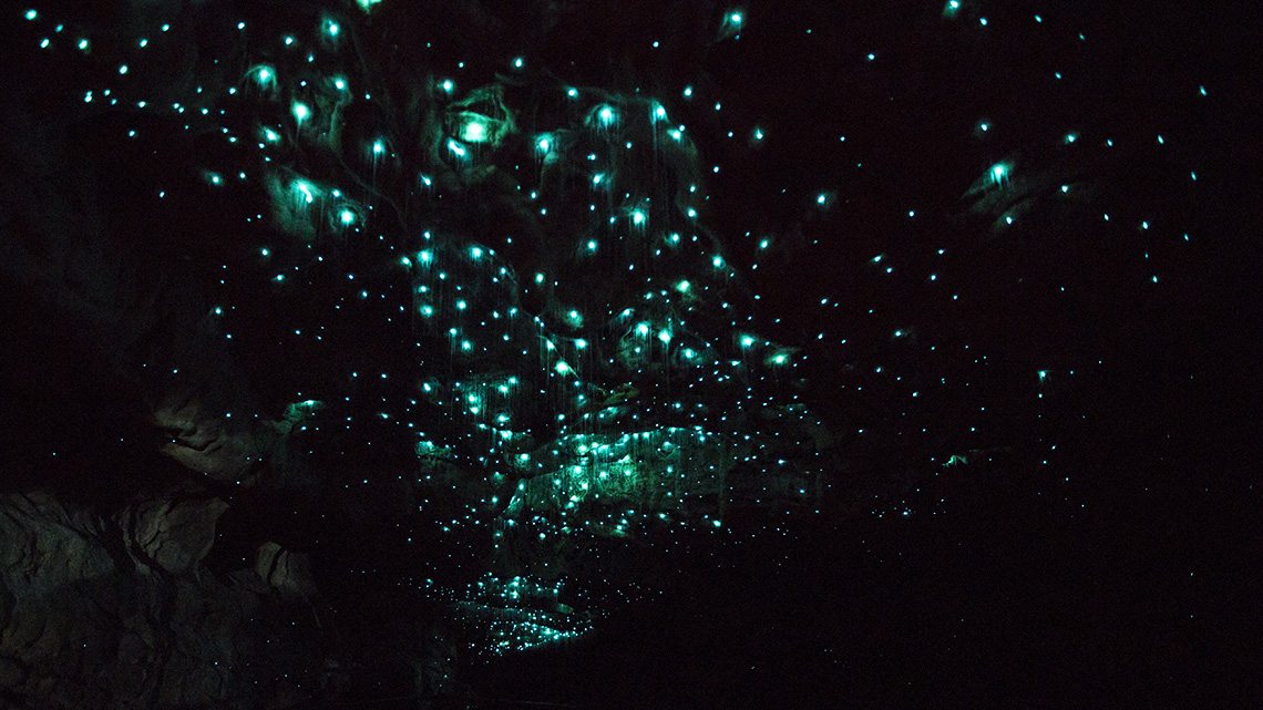 Пещера светлячков 