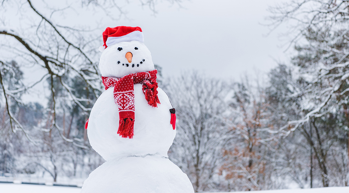 День снеговика День снеговика