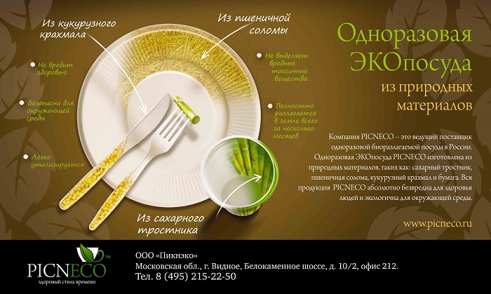 Компания PICNECO