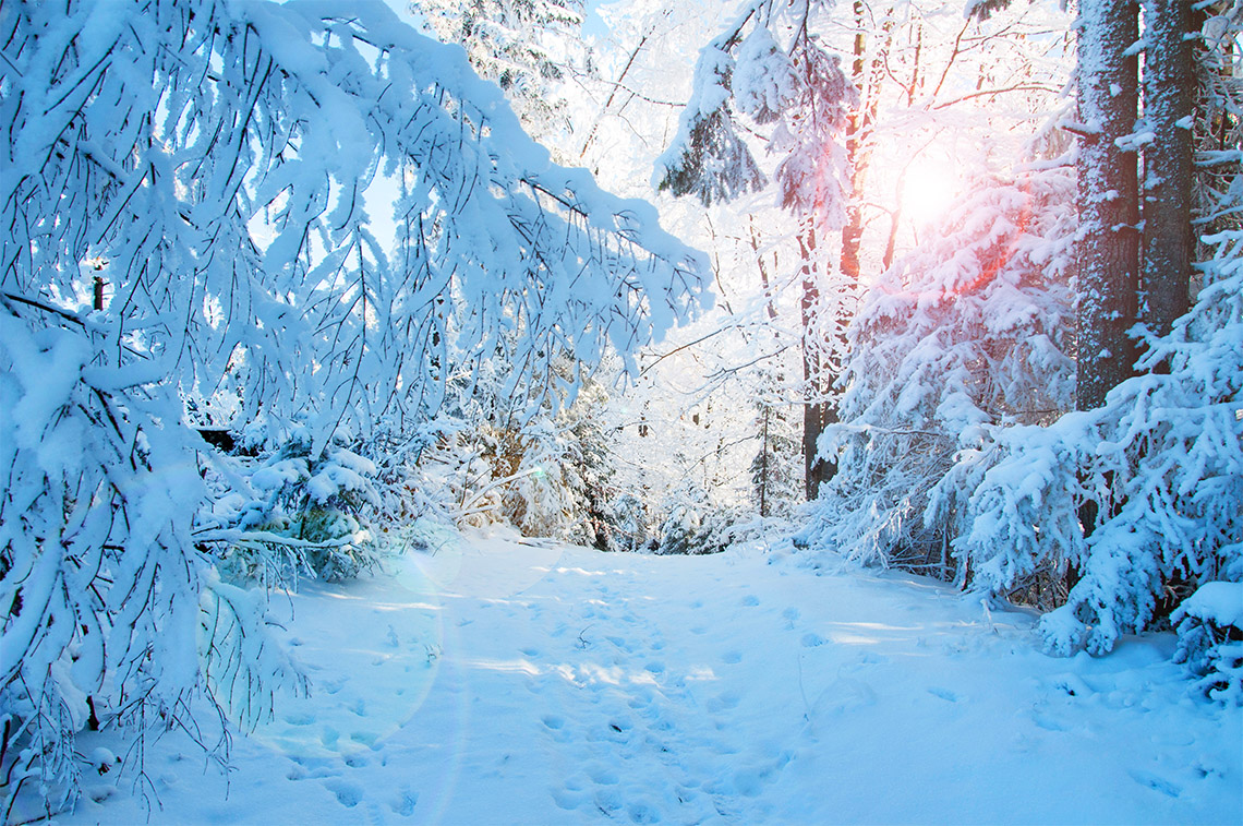 Стихи о зиме русских поэтов