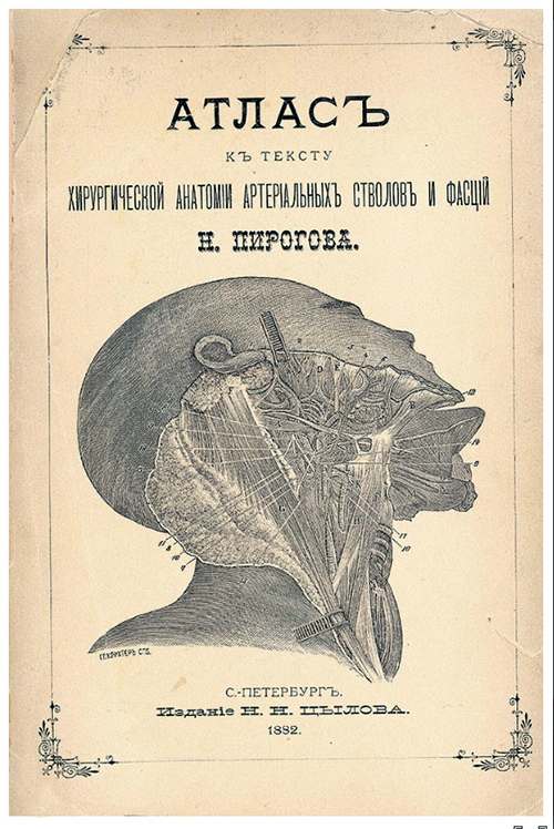 Хирургическая анатомия артериальных стволов и фасций