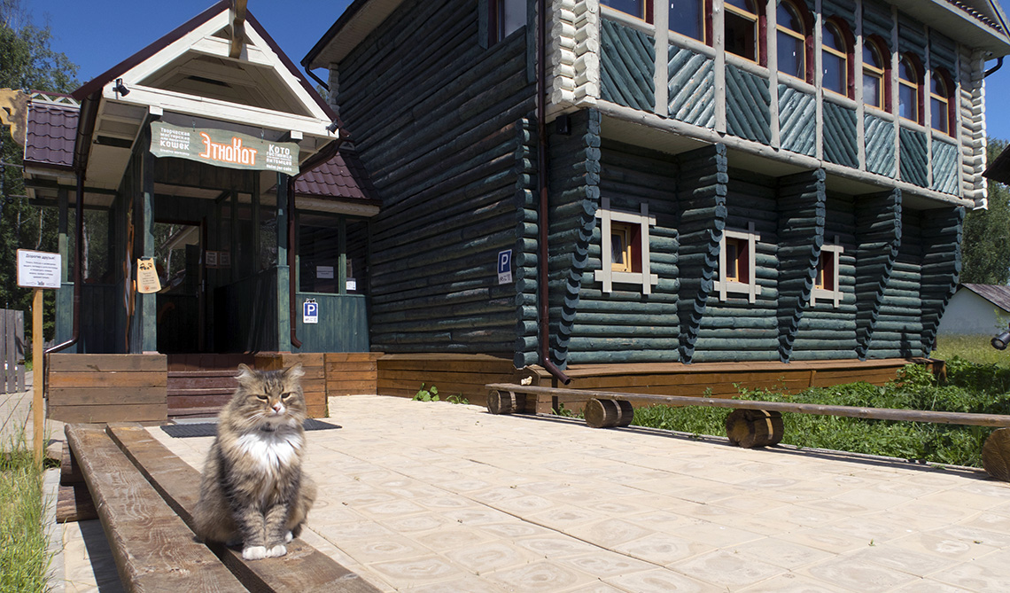 Котодом «ЭтноКот»