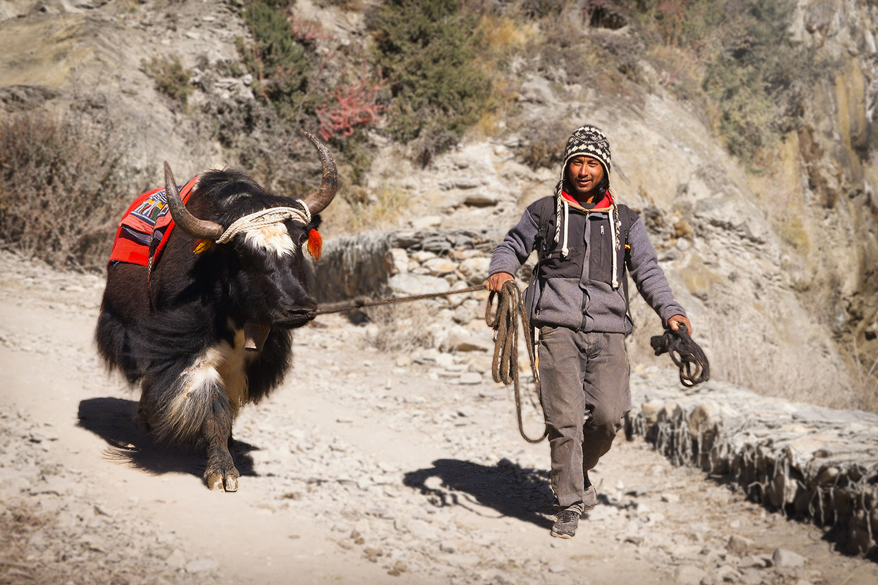 Шерпы в Лукле