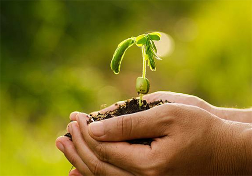 Фестиваль здорового образа жизни в ЭТНОМИРе