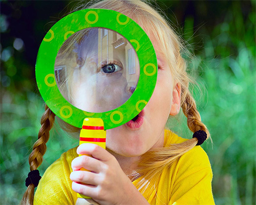 Образовательная программа для школьников «Экология. Среда обитания»