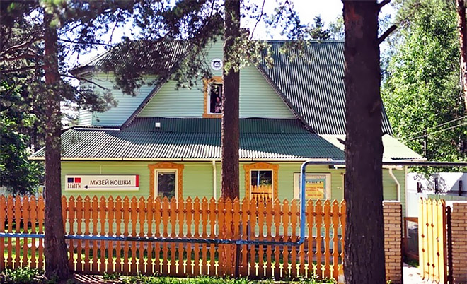 Музей кошки