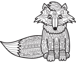 зенарт зенарт