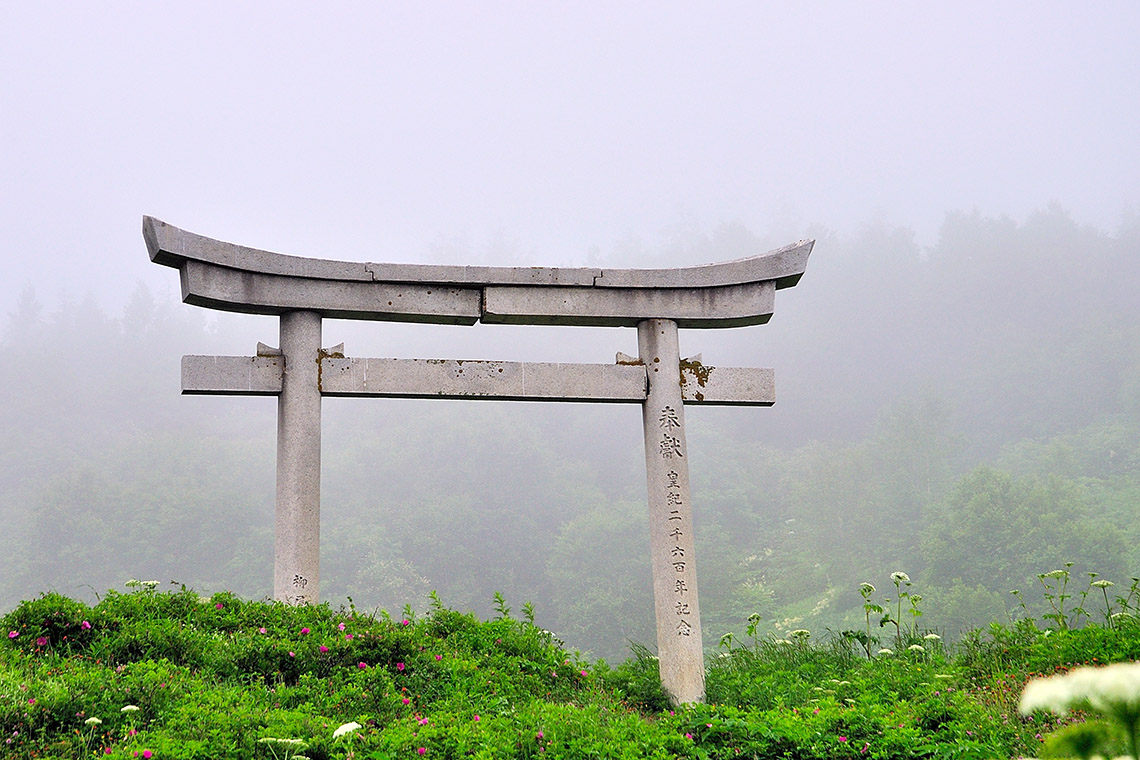 ритуальные врата тории