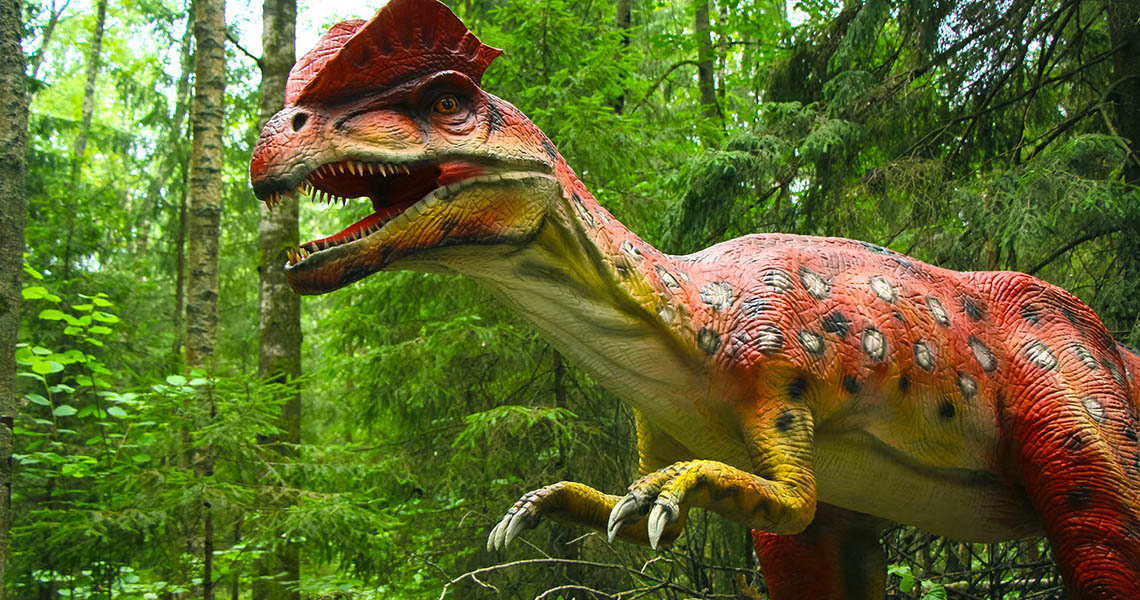 Развлечься