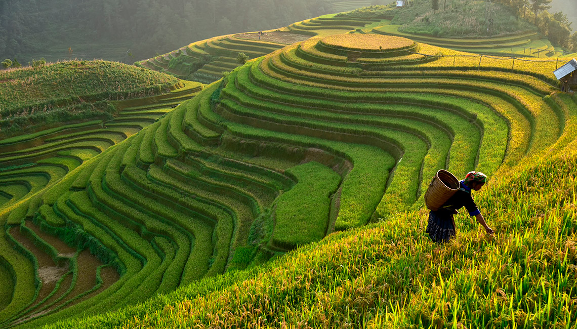 Филиппины – культура, природа, традиции