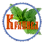 Ансамбль интерклуба РУДН «Крапива»