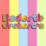 Музыкальная группа «Радость оркестр»