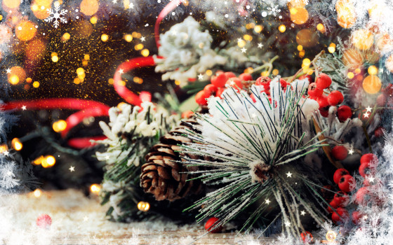 Акция «Рождественская скидка 20%»