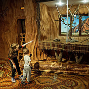 Неделя Австралии и Океании Неделя Австралии и Океании